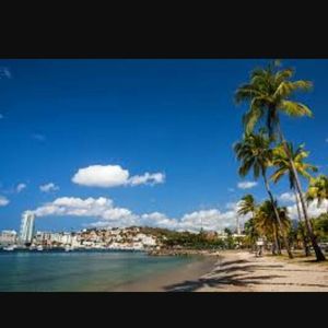 Meet your Posher, Sonny